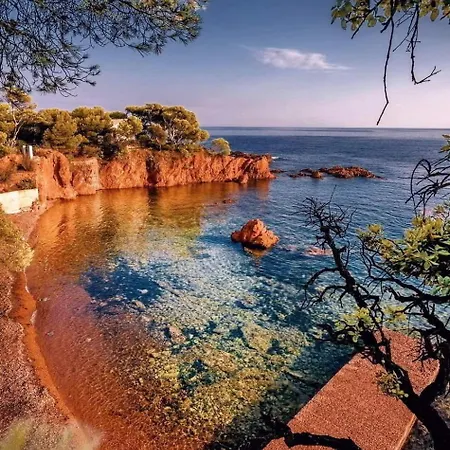 Petit Paradis Vue Mer- Et Calanques A 3 Mn Saint-Raphael (Var)