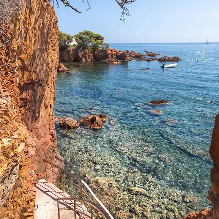 Petit Paradis Vue Mer- Et Calanques A 3 Mn